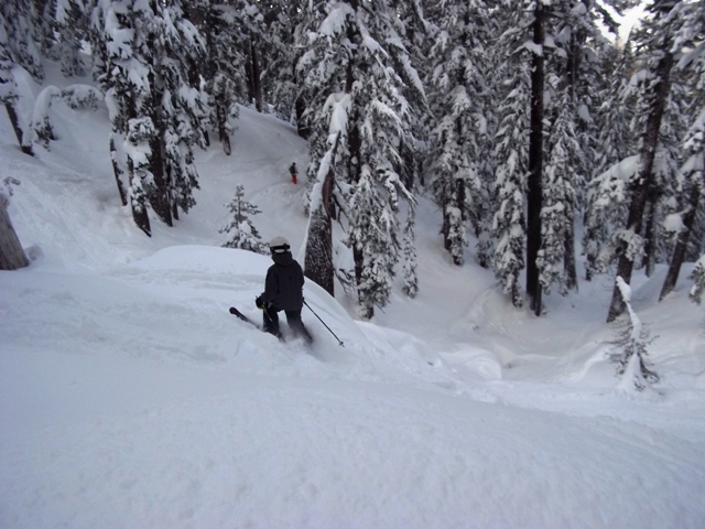 Sierra at Tahoe powder skiing