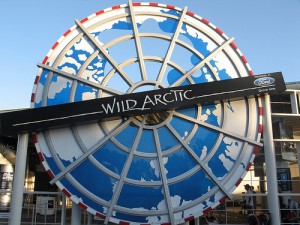 wild arctic sea world