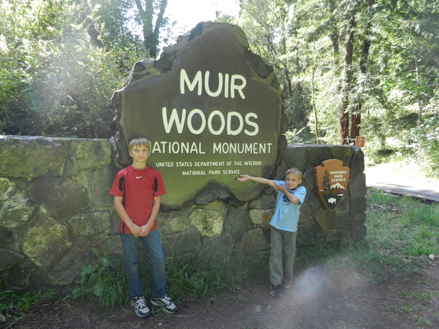 muir woods