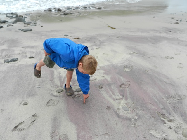 purple sand at pfeiffer beach