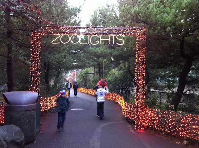 zoo-lights
