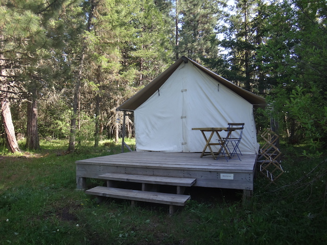 willow-witt-tent-cabins