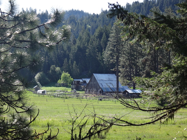 willow-witt-ranch-farm-stay