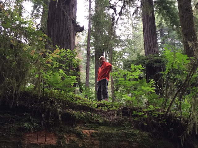CA-Redwoods