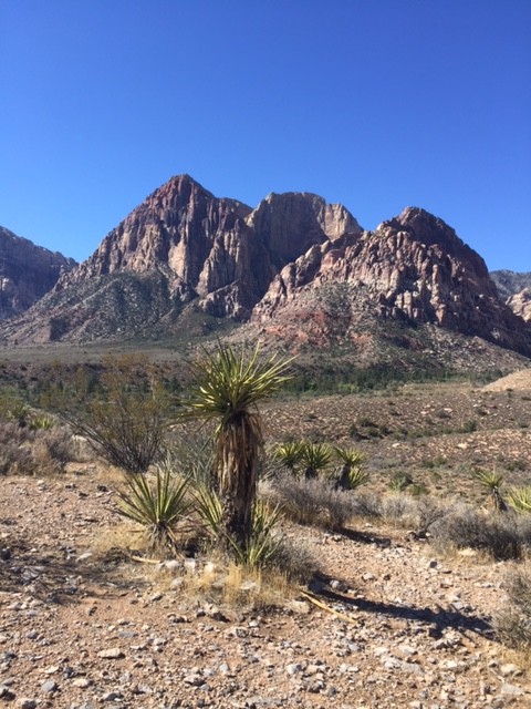 red-rock-canyon