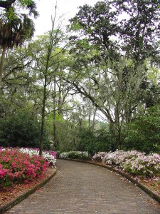 Brick path leading to the Maclay house. Photo courtesy of Florida State Parks. 