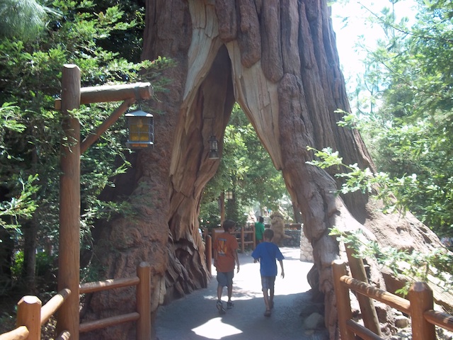 redwood_creek_california_adventure