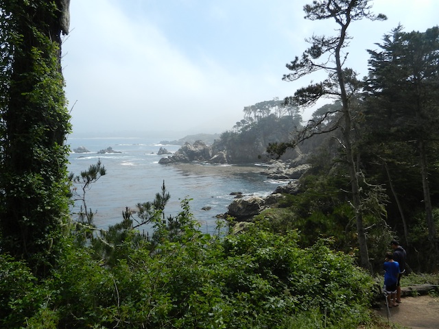 Point Lobos State Park