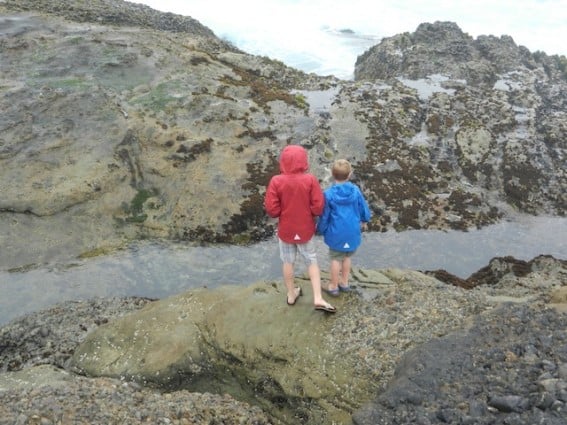 point lobos tide pools