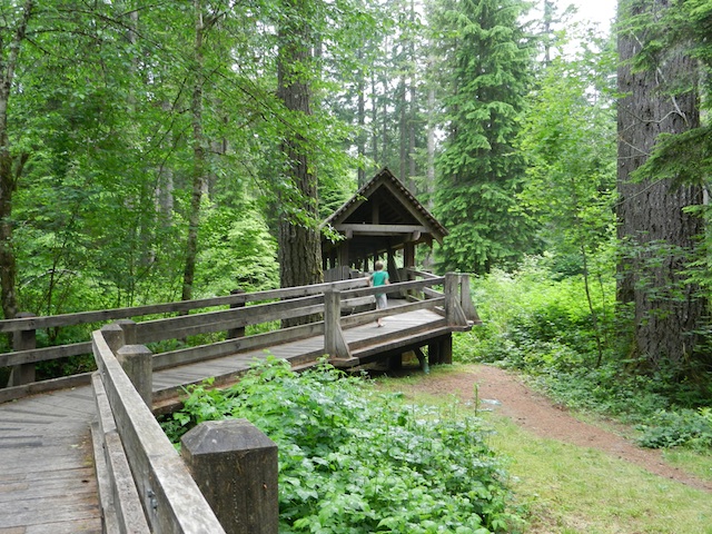 A rustic cabin stay at Silver Falls State Park, Oregon - Pitstops for Kids