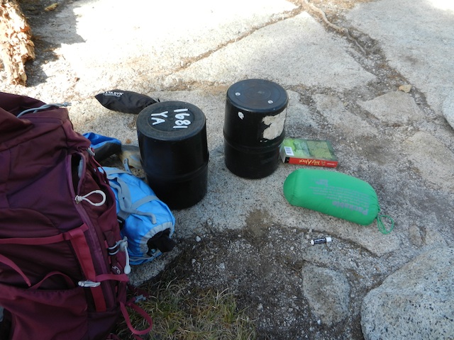 backpacking with kids bear canisters