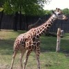 Great Plains zoo