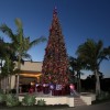 Ritz Carlton Laguna Niguel holiday tree