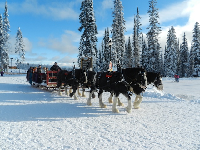 Big White sleigh ride