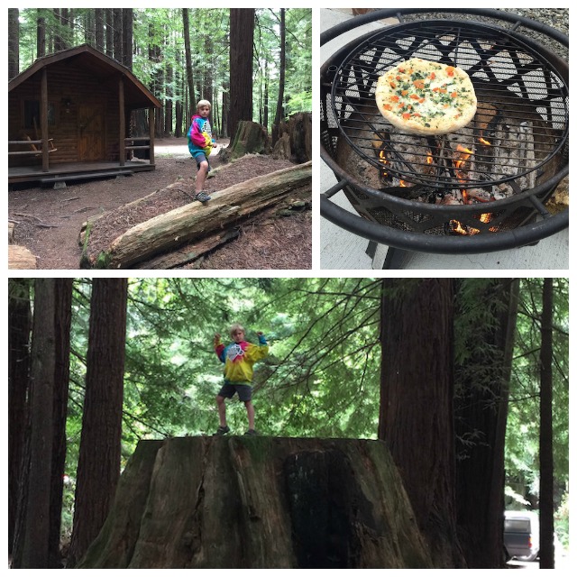 KOA-redwoods
