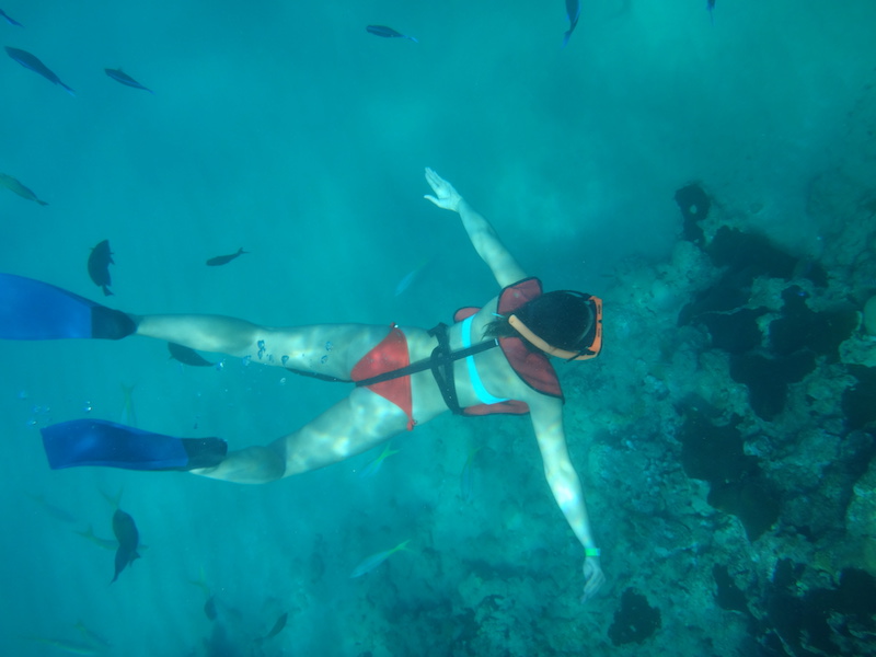 snorkeling-in-dominican-republic