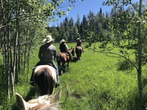 The Home Ranch review: Colorado dude ranch - Pitstops for Kids